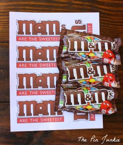 DIY Party Mom: M&M Party Favor Bags