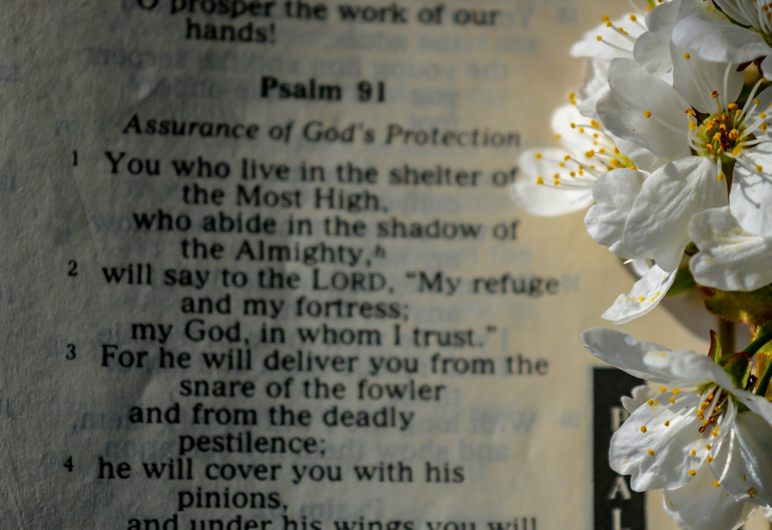 February Devotion February 26 Devotional